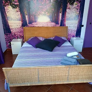  Couette-café Claudia A Monteverde